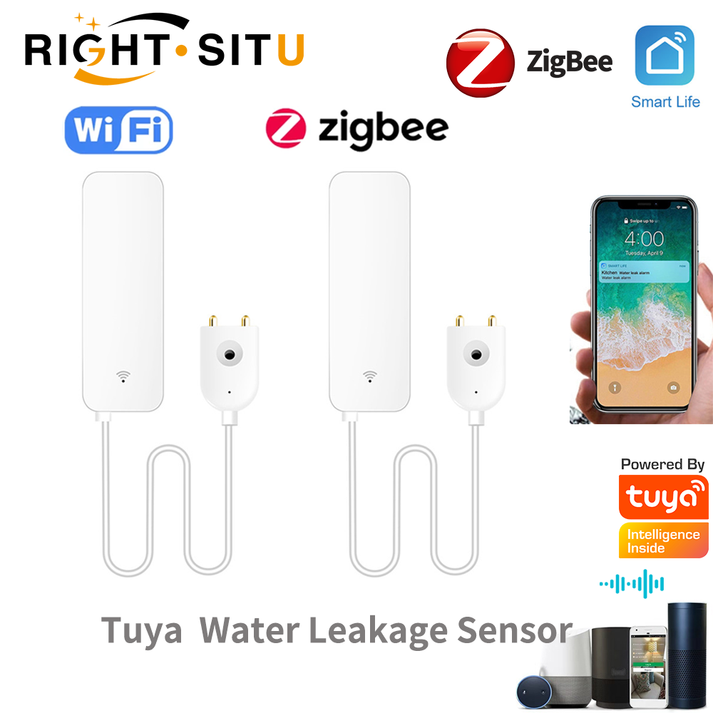 Home Security With Ai - Tuya WiFi 漏水センサー、漏水検知器、Smartlife APP 通知アラート、漏水警報ホームセキュリティ水洪水センサー