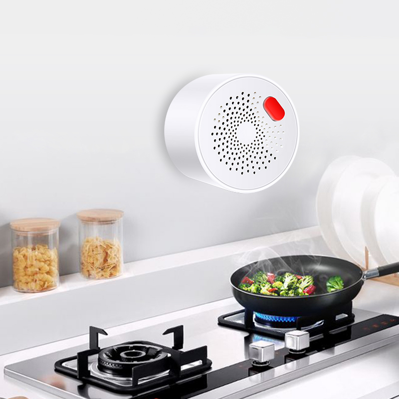Tuya-インテリジェント家庭用ガスセンサー,不燃性,ガス漏 - Home Security Guard のレビューと価格